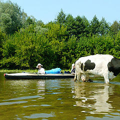 photo "Very deep river!"