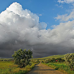 фото "ПредГрозье"