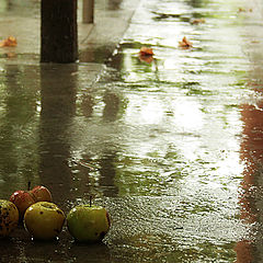 photo "we are so lone and cold"