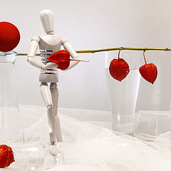 фото "White &red"