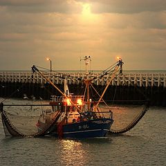 фото "to the fish market"