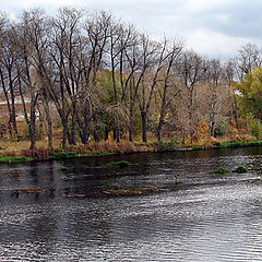 photo "The river in autumn"