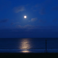 фото "Лунный свет"