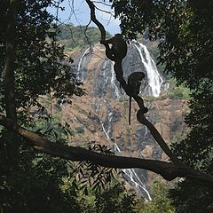 photo "At the waterfall of Dudkhsagar"