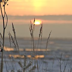 photo "short winter day"