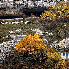 фото "Марьям - Дере"