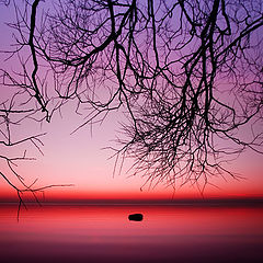 фото "Whispers of forgoten lake"