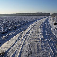 фото "Потерним до второго снега"