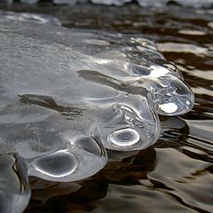 фото "Нечто ледяное"