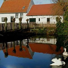 фото "typical farmhouse of the city Reninge."