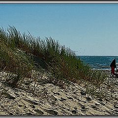 photo "Beach Outing"