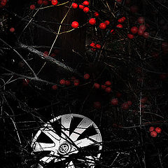 photo "Wheel of Fortune"