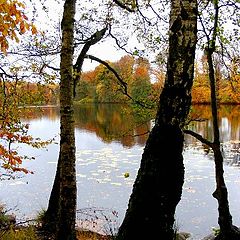 photo "Lake in the wood."