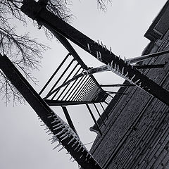photo "Winter ladder"