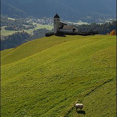 фото "pastorale"