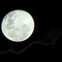 фото "Full Moon"