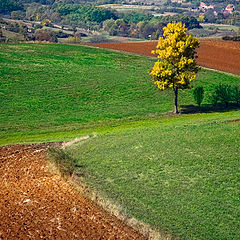 photo "Pejzazkod Raznja"