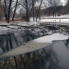 фото "С Новым Годом!"