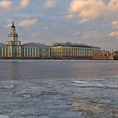 photo "Winter in St. Petersburg"