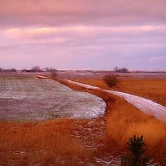 фото "Холодеет"