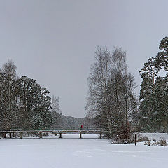 photo "Winter bridge"