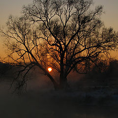 фото "Закат"