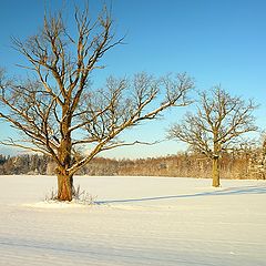 фото "зима"