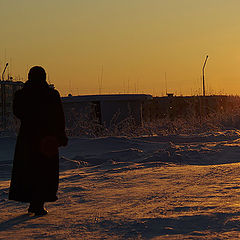 фото "Январское солнце"