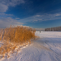 фото "Морозный сочельник"