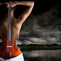 photo "Reinventing the Cello"