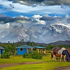 photo "Torres del Paine #5"