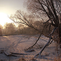 фото "Утро."