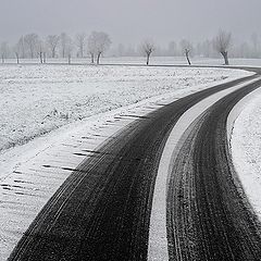 photo "Winter curves"