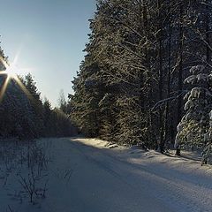 фото "Январское Cпокойствие"