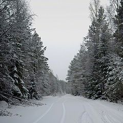 photo "Big White Silence"