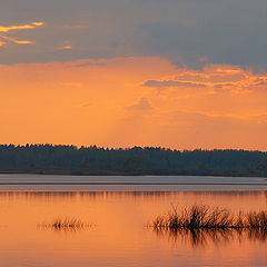 photo "May evening"