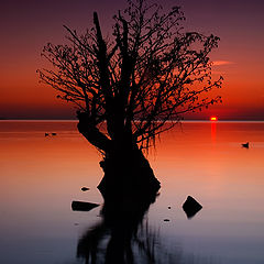 фото "The Last Light"