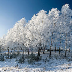 photo "Couturier  Frost."