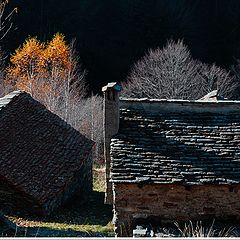 фото "autunno"