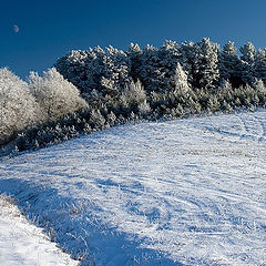 photo "The frost grows stronger."