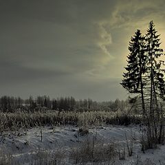 photo "After the blizzard"