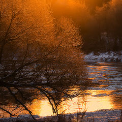 photo "Heat of winter"