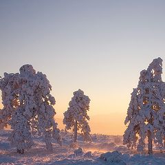 фото "Последний вечер года"