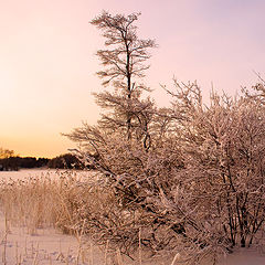 фото "Зимнее утро"