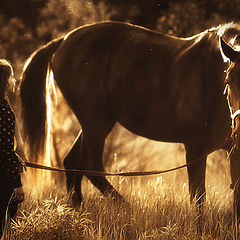 photo "Добрая летняя фотография :)"