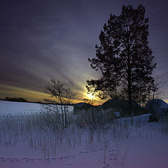 фото "Где гулял зайчик"