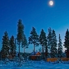 фото "морозный вечер"
