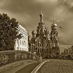 фото "Петербург. Спас-на -крови"