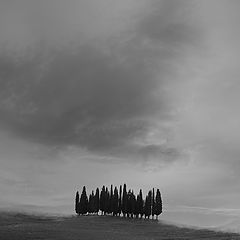 photo "Toscana 2008"