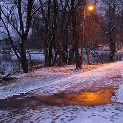 photo "In the morning to school"